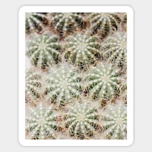 Cacti, Green, Modern art, Wall art, Print, Minimalistic, Modern, Scandinavian print Sticker